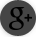 Google Plus Marbella Web
